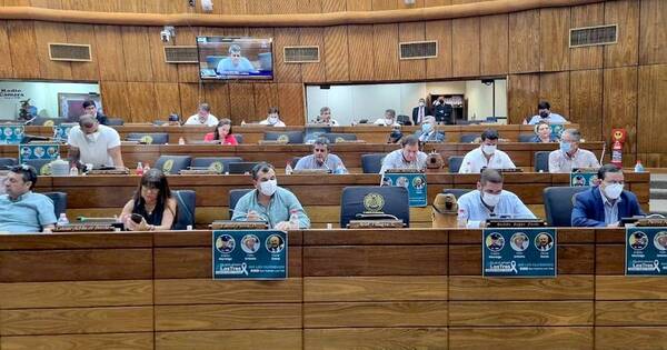 La Nación / Diputados aprobó Ley de Emergencia, pero con modificaciones