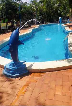 Niño de 7 años muere ahogado en piscina de centro recreativo del km 8 Monday de CDE - La Clave