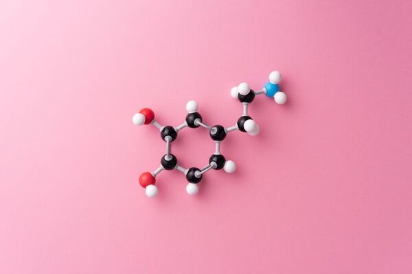 Identifican el mecanismo de la enzima que produce la dopamina - Ciencia - ABC Color