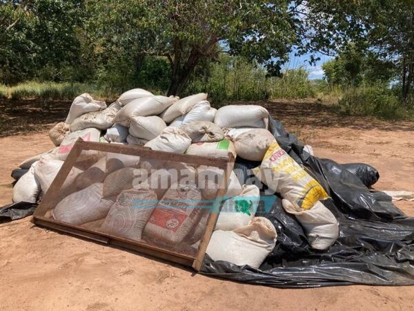 Detectan más de 6 toneladas de marihuana tras controles y patrullajes en Amambay