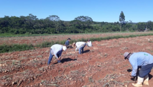 MAG alista asistencia a unos 21.000 productores afectados por la sequía