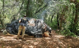 Senad destruye seis toneladas de droga y detienen a un hombre
