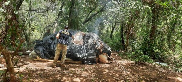 Senad destruye seis toneladas de droga en zona rural y en patrullaje detiene a un hombre
