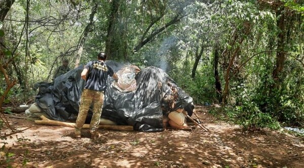 Detectan más de 6 toneladas de marihuana en Amambay