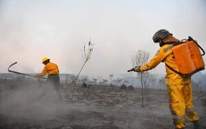 Aconsejan evitar prácticas que propicien incendios forestales