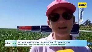 ABC RURAL: Corteva en jornada de campo en Pirapó - ABC Rural - ABC Color