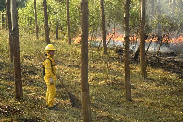 Focos de calor suman 110 y se concentran en la Región Oriental - Nacionales - ABC Color