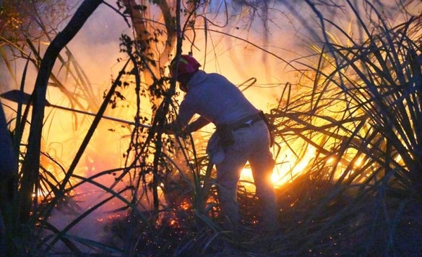 Diario HOY | Itaipú insta a evitar prácticas que generen incendios en áreas protegidas