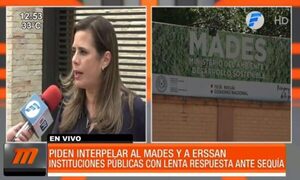 Piden interpelar a titulares del MADES y la ERSSAN | Telefuturo