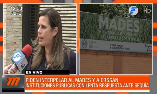Piden interpelar a titulares del MADES y la ERSSAN | Telefuturo
