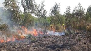 Mediante el Fondo Verde las autoridades coordinan adquisición de insumos para el combate de incendios