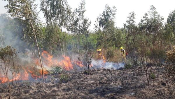 Mediante el Fondo Verde las autoridades coordinan adquisición de insumos para el combate de incendios