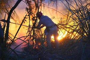 Crónica / Kape acá tenes cinco tips para evitar incendios forestales