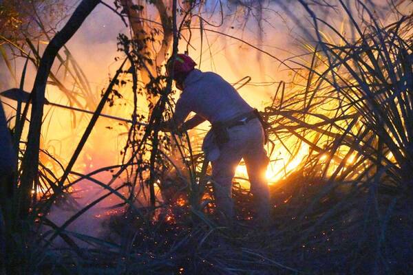Crónica / Kape acá tenes cinco tips para evitar incendios forestales