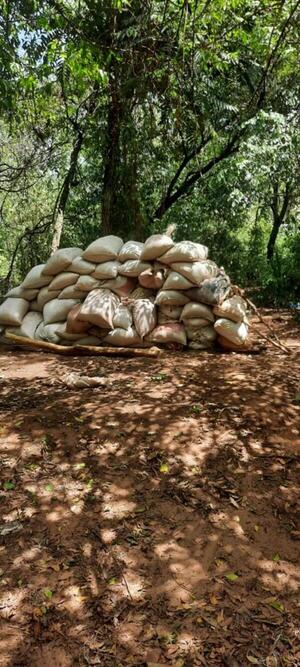 Incautan más de 6 toneladas de marihuana  en Amambay
