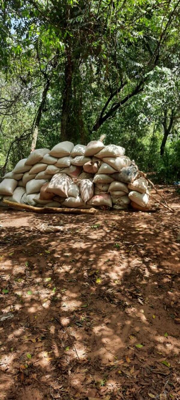 Incautan más de 6 toneladas de marihuana en Amambay