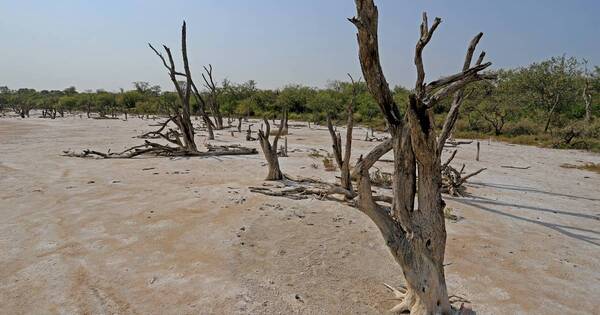 La Nación / Gremios solicitan al Gobierno medidas ante emergencias por la sequía