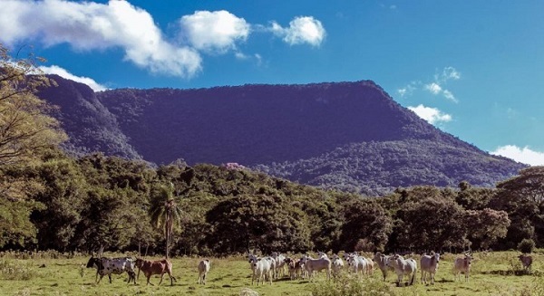 Grupo armado asalta a jóvenes en la cima del cerro Tres Kandú