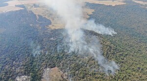 Unas 2.000 hectáreas de selva virgen arden en Itapúa