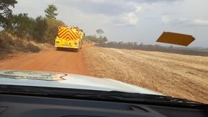 Cultivo de soja en etapa de cosecha, afectado por incendio