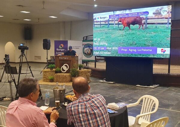 “Mucho interés por animales para confinamiento” en feria Regionales Unidas