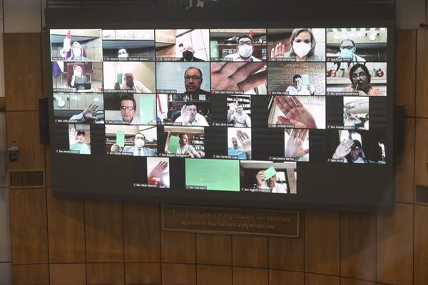 COVID: Senado sanciona ampliación de ley de emergencia hasta junio - Nacionales - ABC Color
