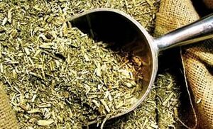 Sequía afecta producción de yerba mate y prevén una posible disminución de la oferta