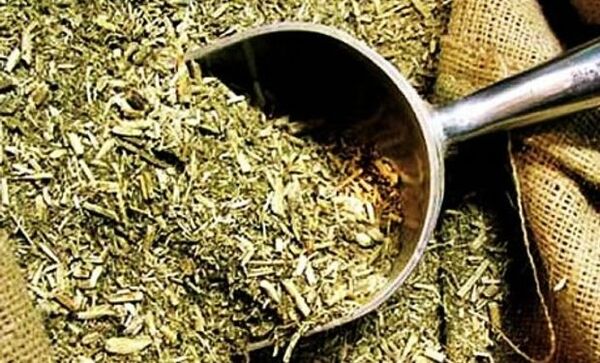 Sequía afecta producción de yerba mate y prevén una posible disminución de la oferta