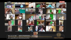 Senado saciona ley que amplia la Emergencia Sanitaria hasta finales de junio - Megacadena — Últimas Noticias de Paraguay