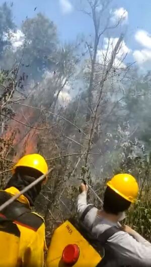 Bomberos de CDE reciben una decena de casos por día y no abastecen por incendios forestales - La Clave
