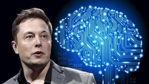 Avanza el proyecto tecnológico de Elon Musk que busca implantar chips en cerebros humanos