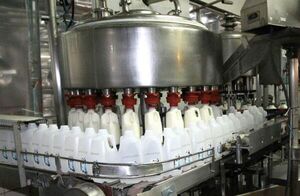 Sequía también afecta al sector lechero, pero tienen stock hasta marzo - La Clave