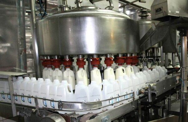 Sequía también afecta al sector lechero, pero tienen stock hasta marzo - La Clave