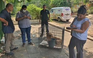 Areguá: Fiscal rescató a 3 perros de una casa abandonada •