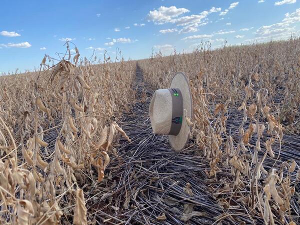 Agricultores en “situación desesperante” por el clima ya apuestan a la zafriña de soja y maíz