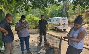 Diario HOY | Rescatan a tres perros abandonados en Areguá