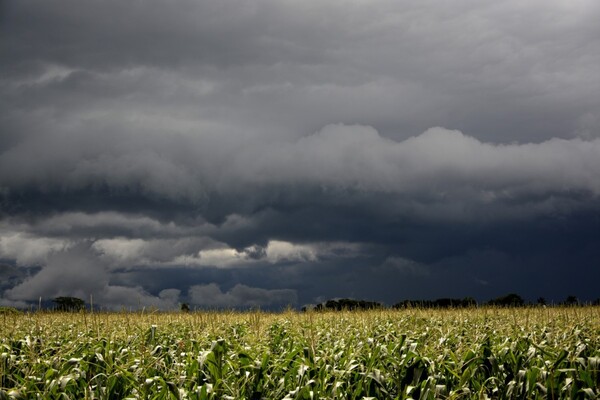 Lluvias podrían acumular hasta 100 milímetros en los próximos diez días