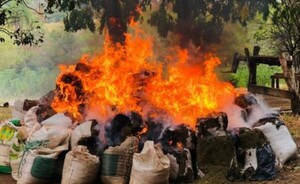 Senad detectó en depósito narco con casi 18 toneladas de marihuana