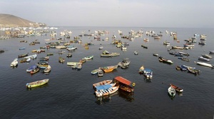 La desesperación de los que viven del mar, la otra cara del derrame en Perú - MarketData