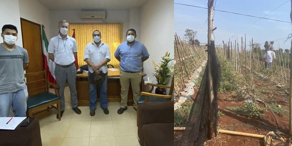 GOBERNACIÓN PREPARA CONTINGENCIA PARA PEQUEÑOS PRODUCTORES DE FR - Itapúa Noticias