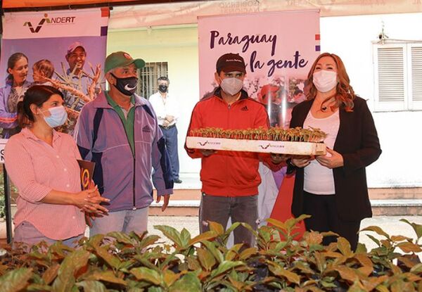 INDERT entregó 4.100 plantines a productores