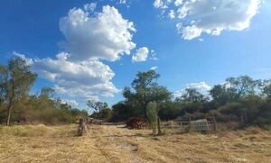 Debido a la inacción del Indi y del Ministerio Público vuelven a invadir reserva indígena en el Chaco - Noticias del Chaco - ABC Color