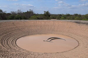 Lluvias en el Chaco no alcanzan para reservar agua y preocupa baja de los índices productivas