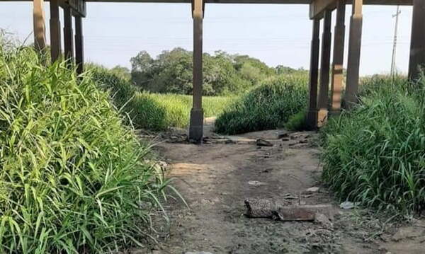 Arroyo Caañabé se encuentra totalmente seco - Noticiero Paraguay