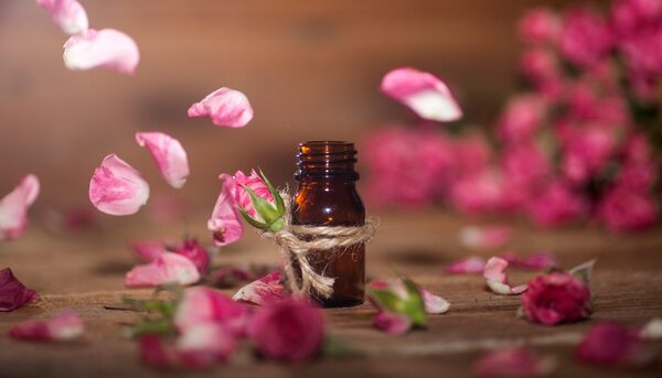 La rosa mosqueta y sus múltiples beneficios