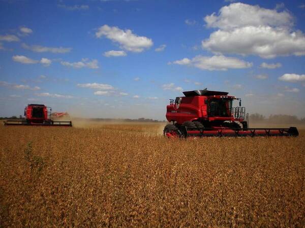 Paraguay, Brasil y Argentina producirán 20 millones de toneladas menos de soja