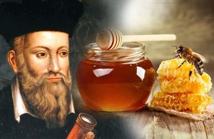 Nostradamus los predijo: "La miel costará mucho más que la cera de las velas" - El Observador