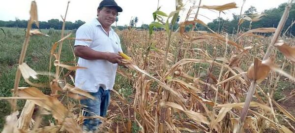 La lluvia solo llegó en algunos distritos de Ñeembucú - Nacionales - ABC Color
