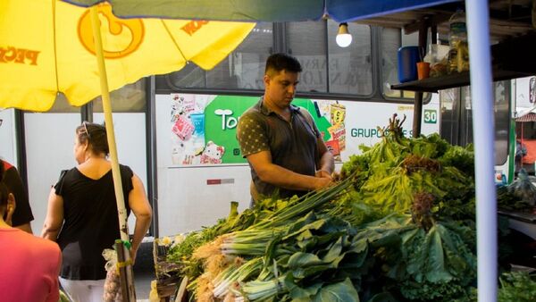 La lechuga se volvió un plato de lujo en las casas