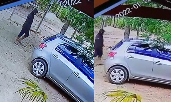 Roban vehículo a plena luz del día en Coronel Oviedo – Prensa 5